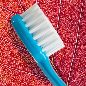 Special Bristles for your Special Little One
