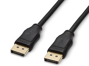 Connect DisplayPort