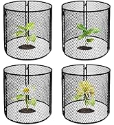 4 Pack Metal Plant Cage Protectors from Animals-11.8 x 11.8 Inch Garden Plant Protector - Sturdy ...