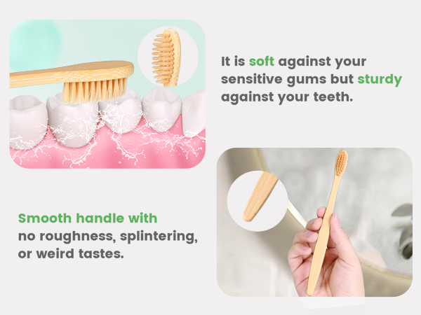 eco friendly toothbrushes