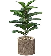 Vintiquewise Wooden Stump Tree Branch with Bark Succulent Planter Pot Flower Shelf