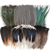 FeelfunFeather 50pcs Natural Feathers Bulk-6 Style Mixed Decorative Spotted Feathers,Peacock Feat...