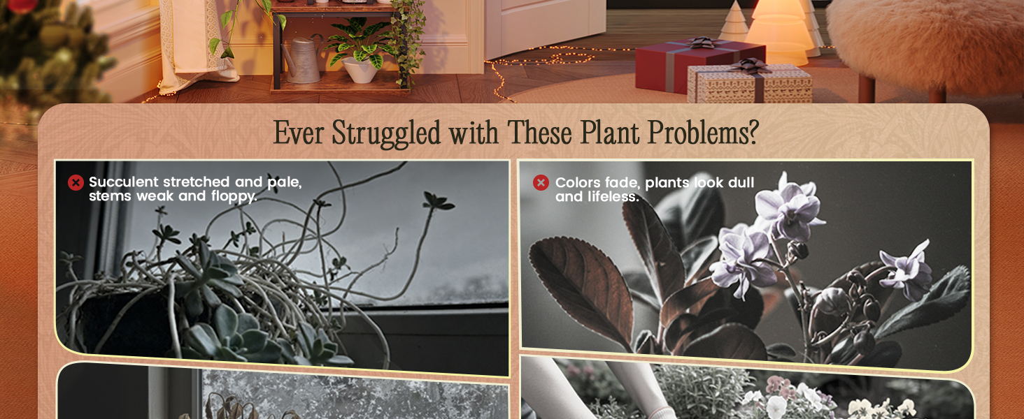 PLANT RACK
