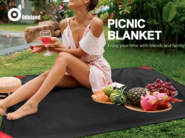 picnic blanket
