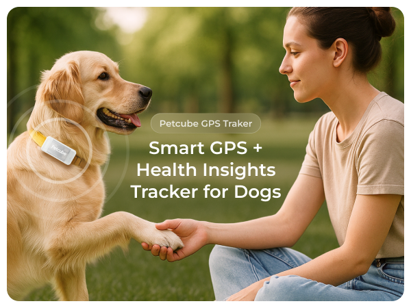 Petcube GPS Tracker for dogs