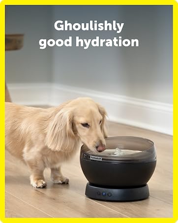 Spooky