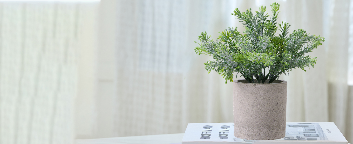 mini potted plants