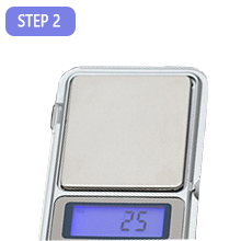 Mini scale 2