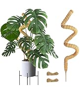 Joyhalo Bendable Moss Pole for Plants, 48 Inch Monstera Plant Support Stakes, Moss Poles for Clim...