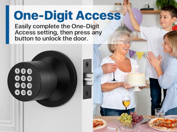 Door Knob with Keypad