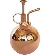 LIANSHI Plant Mister Spray Bottle Stainless steel plant sprayer, small watering can plant spray b...