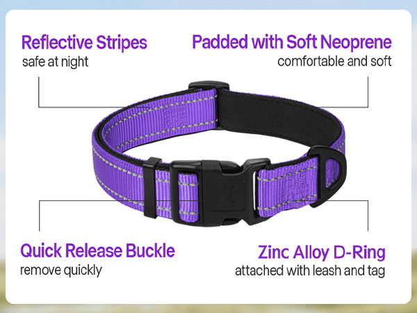 soft dog collar