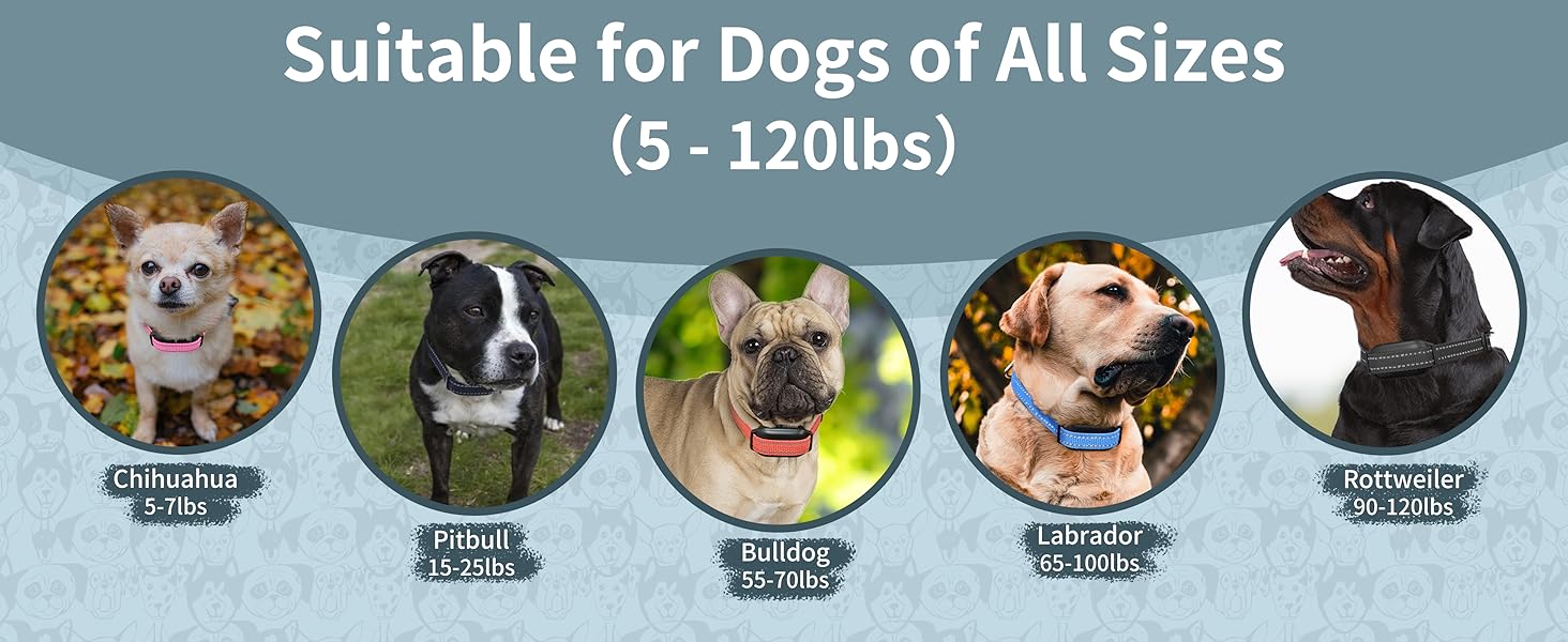 dog vibrate collar vibrating collar for dogs training vibrating collar for small dogs 5-15lbs