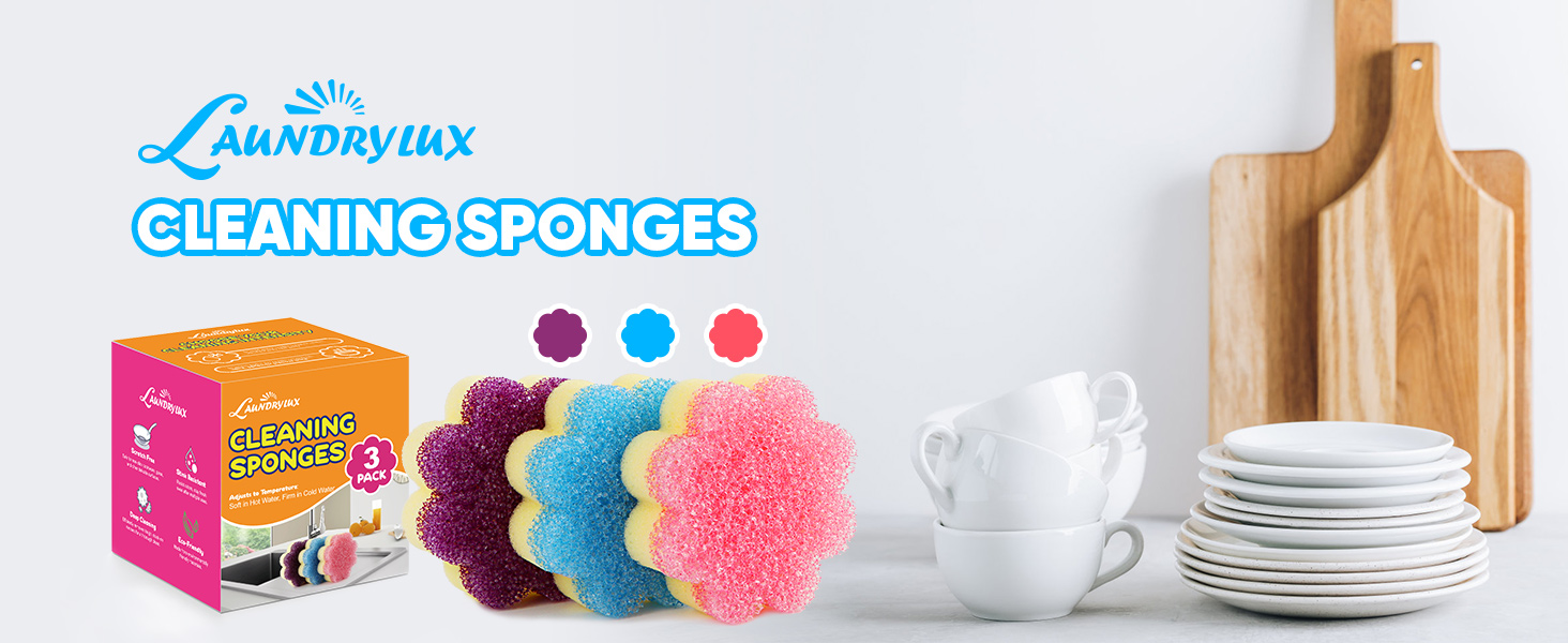 cleaning sponges