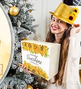 Sunshine Box