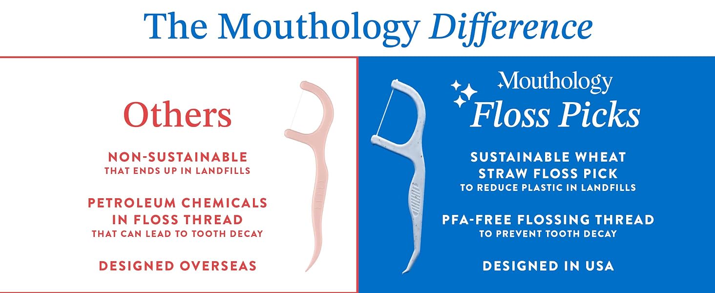 floss picks, dental floss picks reusable floss pick, tooth flossers, floss sticks, floss, picks