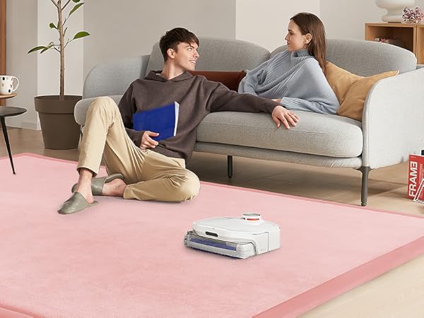 Living room rug