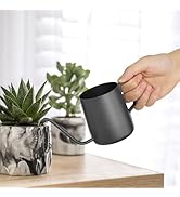 Small Watering Can Indoor Plants - 12 oz Mini Metal Watering Can with Long Spout Rust-Proof Stain...