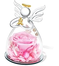 https://m.media-amazon.com/images/S/aplus-media-library-service-media/ea55736a-ad51-4ed3-afdb-5af10dece458.__AC_SR200,225___.jpg