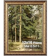 Splinterix 12x16 Gold Picture Frame, Ornate Vintage Picture Frames for Wall or Tabletop Display, ...