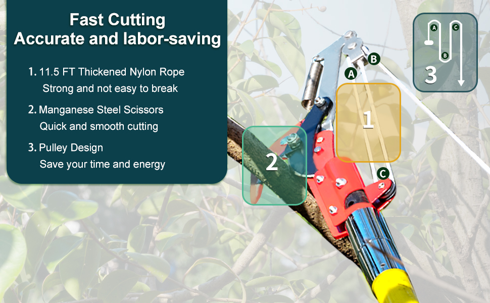 When trimming thinner branches, the saw can be replaced with scissors to save effort.