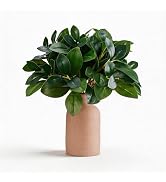 12 Inch Artificial Plant Indoor,Small Fake Plants Eucalyptus Stems With Vase,Faux Greenery In Pot...