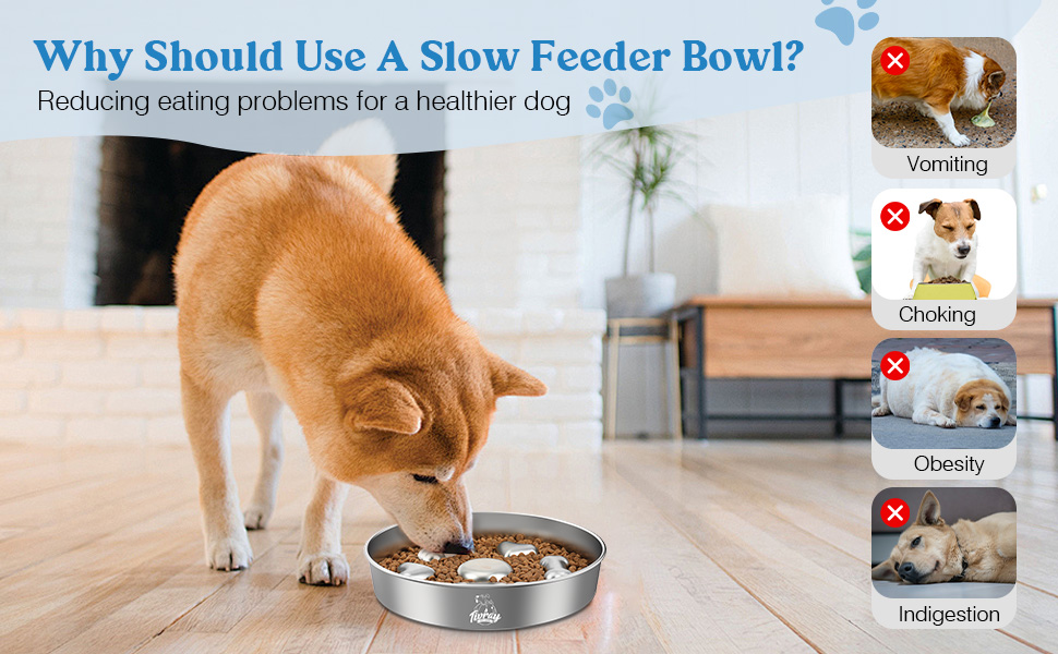 stainless steel slow feed dog bowl slow feeder dog bowl
