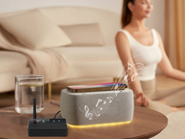 Bluetooth Transmitter Receiver