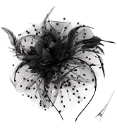 DRESHOW Fascinators Hat Feather Headband Women's Fascinators Tea Party Headwear with Clip Flower ...