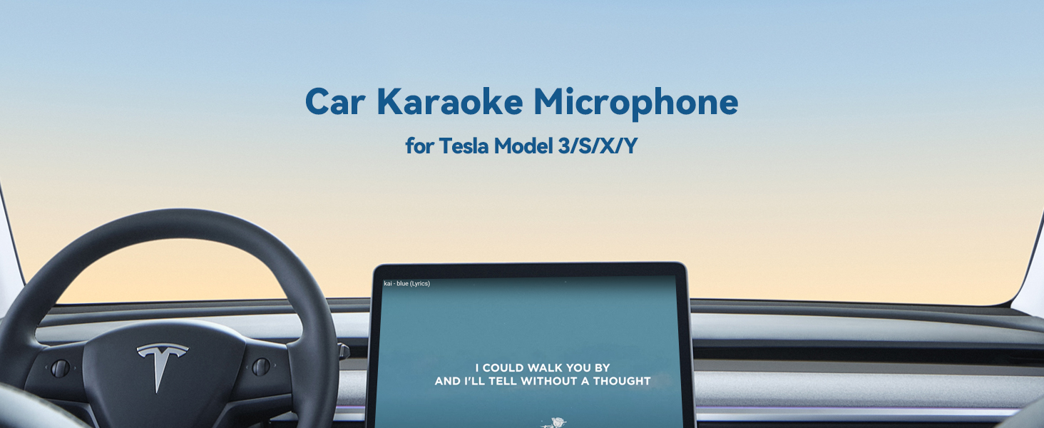tesla car karaoke