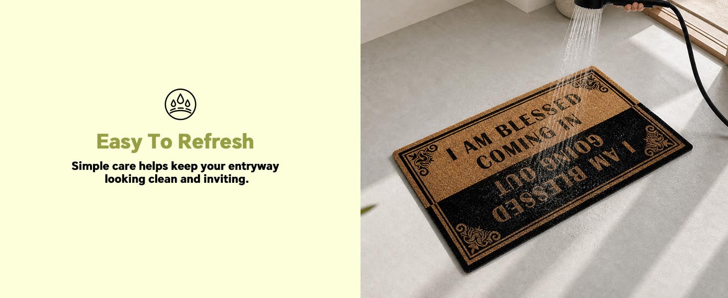 Funny Doormat for Porch Indoor Non Slip
