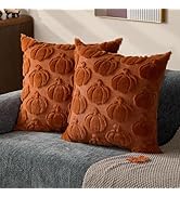 DFXSZ Fall Pillow Covers 18x18 Set of 2 Fall Decorations Autumn Rust Pumpkin Throw Pillow Cases S...