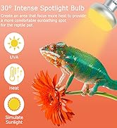heat bulb