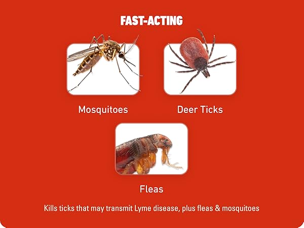 Ortho Bugclear. Defend against disease-carrying pests. Kills ticks that may transmit lyme disease