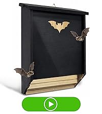 https://m.media-amazon.com/images/S/aplus-media-library-service-media/4cf4a3eb-8f9c-46fe-8a58-9449b100c3f3.__CR1,0,1778,2000_PT0_SX200_V1___.jpg