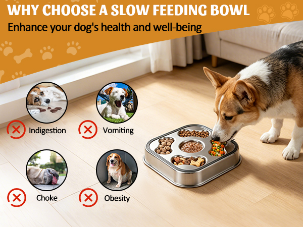 dog slow feeder bowl