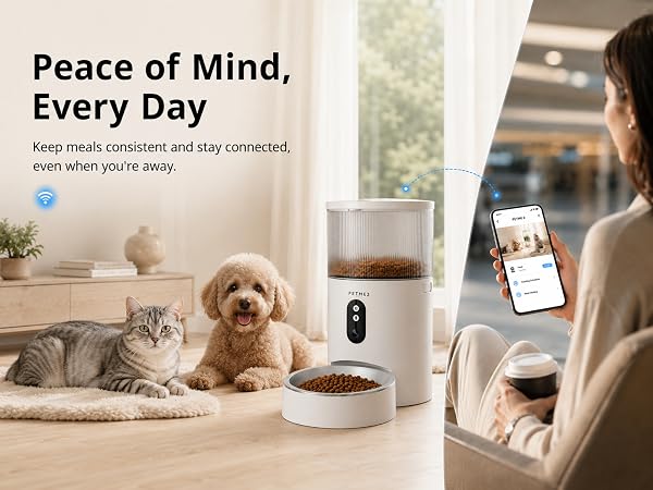 cat feeder