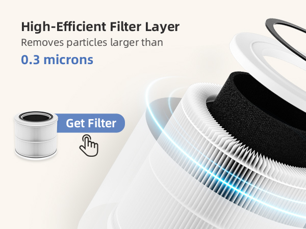 Air Purifier with Filter