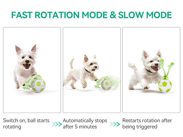 3227 dog ball
