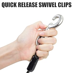 clips