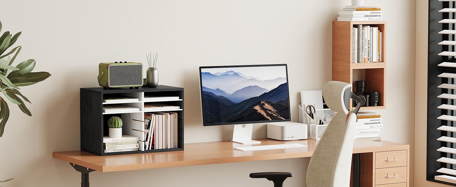 DESK FILE ORGANIZER