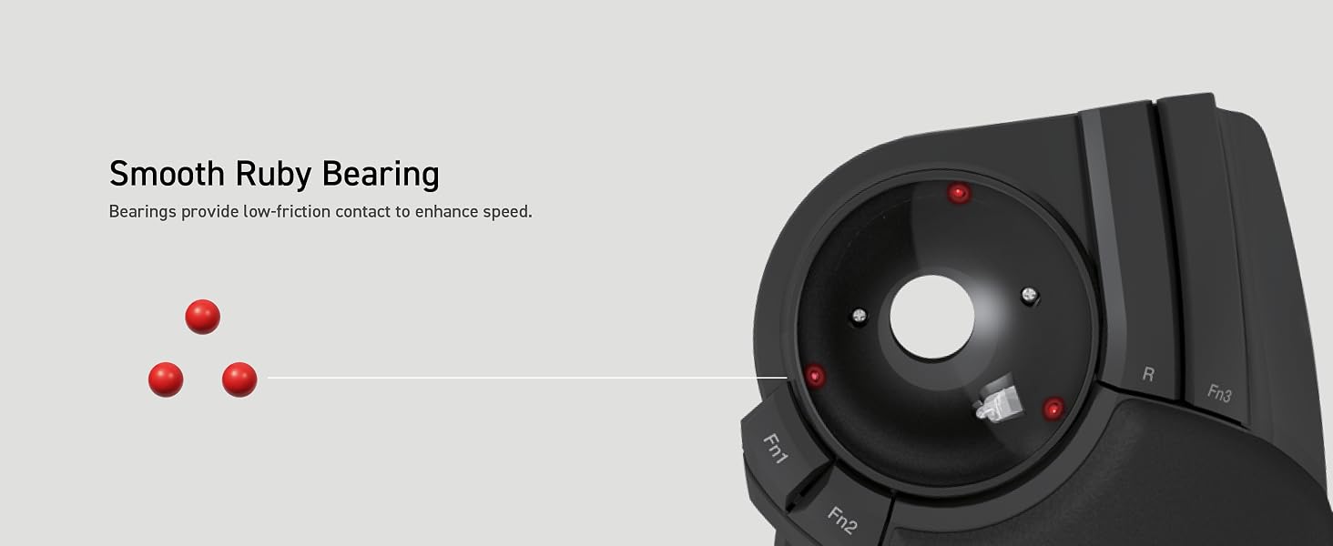 Huge Trackball Ruby Bearing