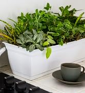 eclipse planter, planter with saucer, rectangular planter, window box planter, white planter