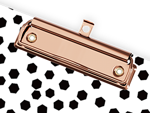 Strong Anti-Slip Gold Clip With Hook
