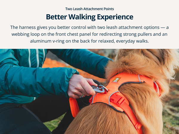 Durable and padded dog vest harness for everyday walks, training, or outdoor adventures.