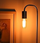 amber edison bulb
