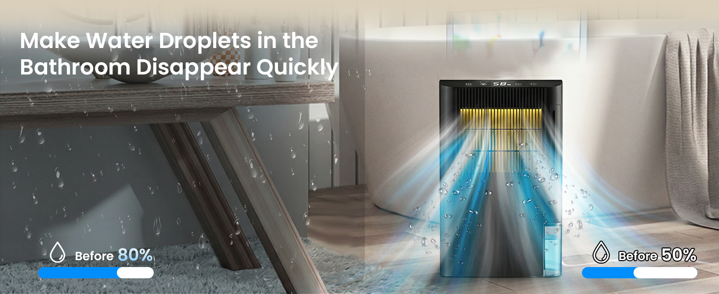 dehumidifier for bathroom
