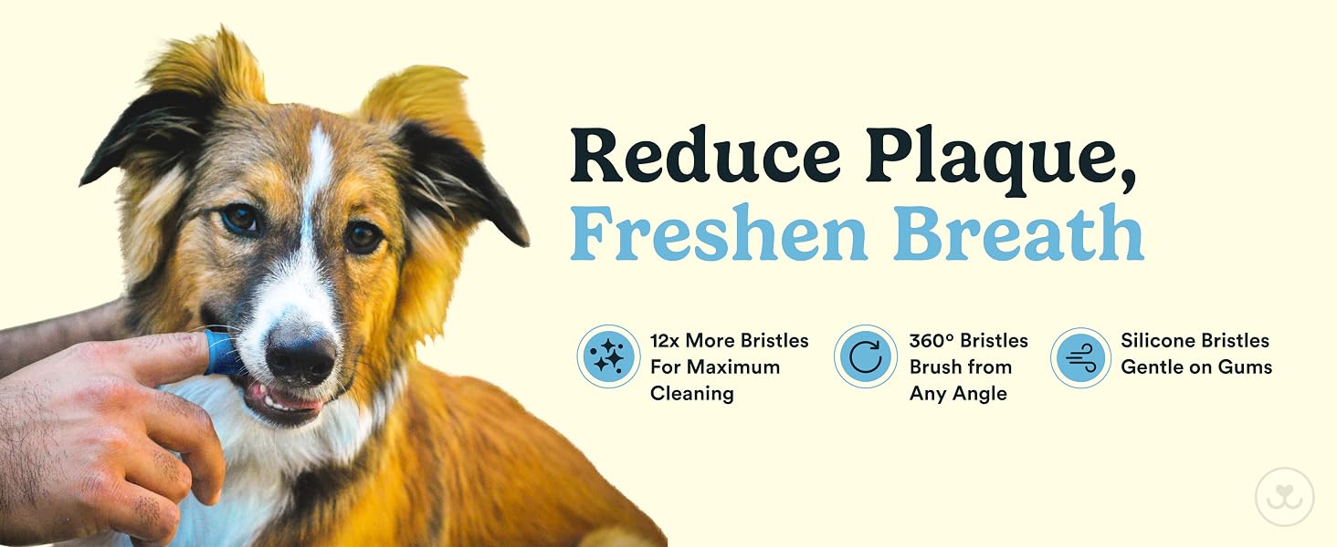 reduce plaque, freshen breath
