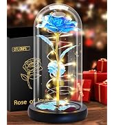 Otlonpe Forever Artificial Glass Rose Flower Lamp, Women Gifts for Birthday Christmas Valentines ...