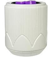 Scentsationals Wax Melt Warmer, for Scented Wax Melts - Vee - Fragrance Warmer for Cubes and Tarts